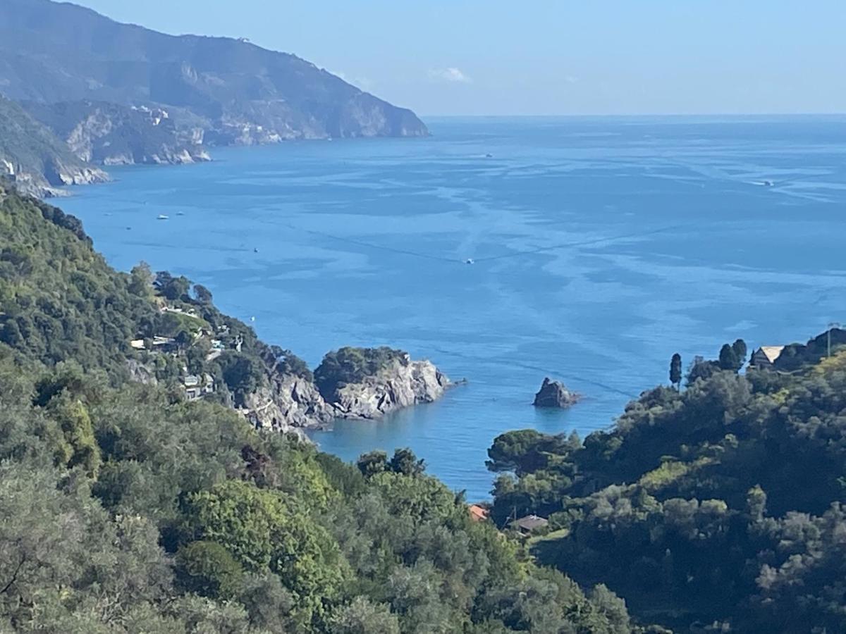 Casa Luci Villa Levanto Buitenkant foto