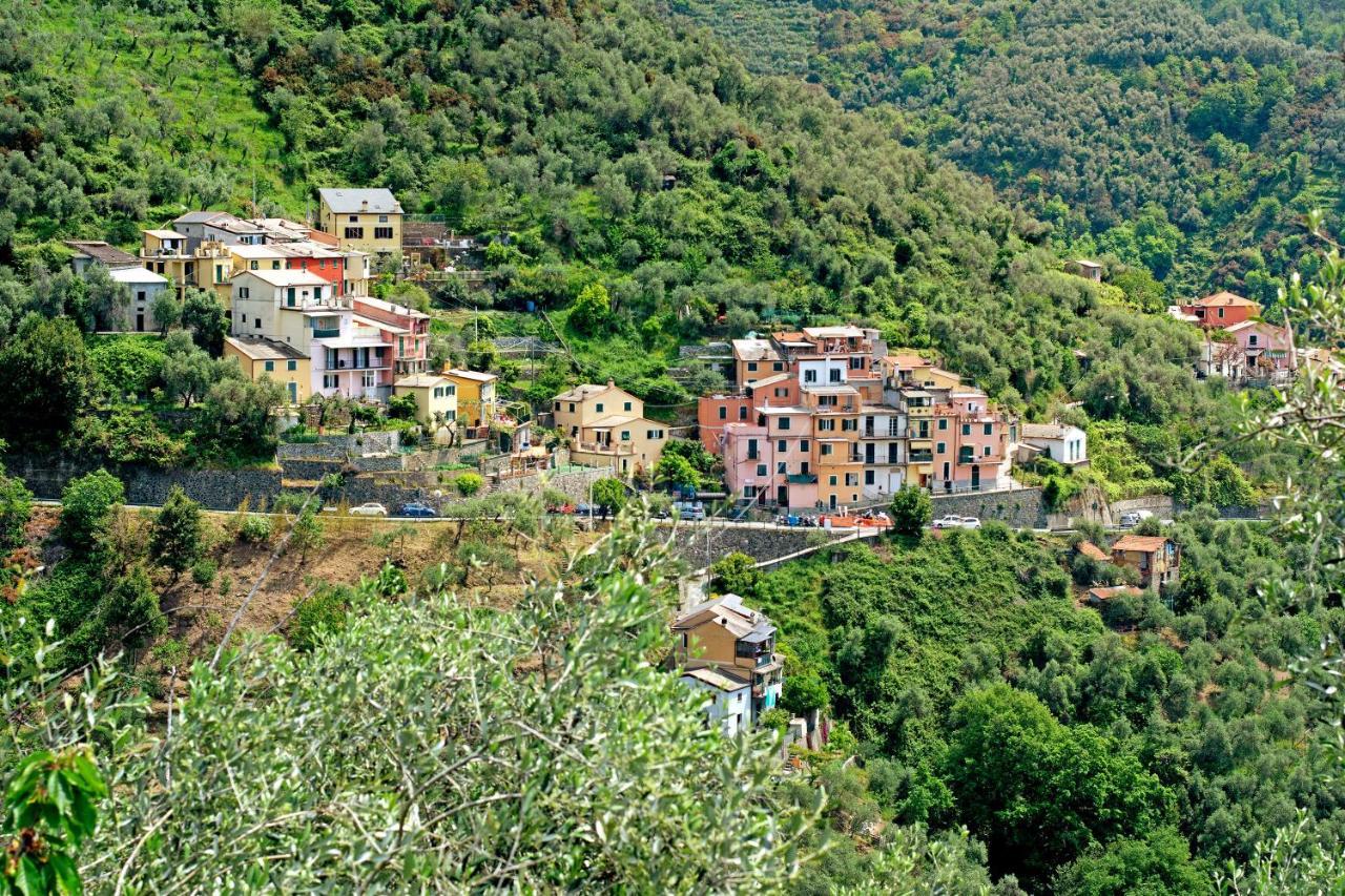 Casa Luci Villa Levanto Buitenkant foto